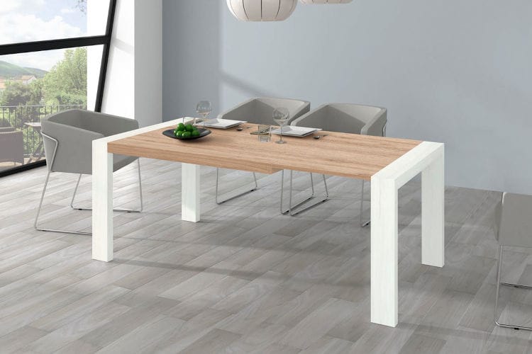 foto mesacomedor 021