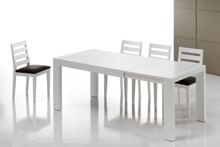 foto mesacomedor 071