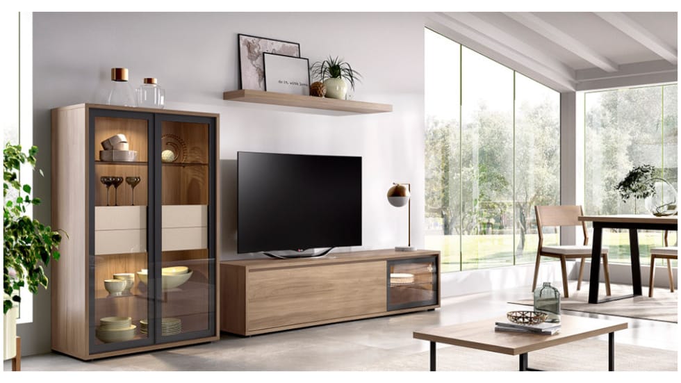 foto salonmoderno 021